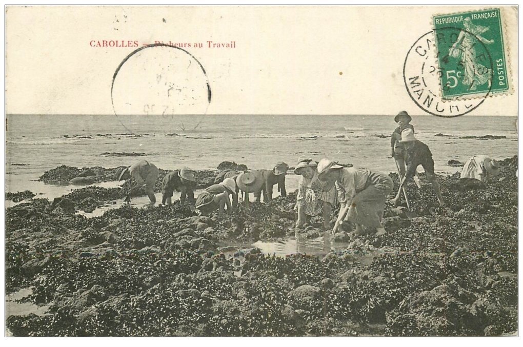 carte postale ancienne 50 CAROLLES. Pêcheurs de Crustacés au travail 1914