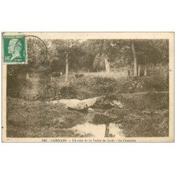 carte postale ancienne 50 CAROLLES. Vaches à la Croisette Vallée de Lude 1921