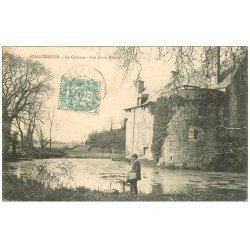 50 CHANTELOUP. Le Château avec personnage 1905 vue sur la Prairie