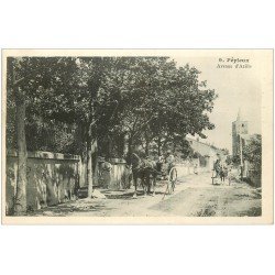 carte postale ancienne 11 PEPIEUX. Avenue d'Azille 1912