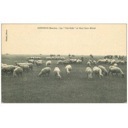 50 COURTILS. Les Prés-Salés du Mont Saint-Michel Moutons et Paysannes