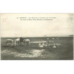 carte postale ancienne 50 GENÊT. Moutons et Oies sur les herbus. Mont Saint-Michel et Tombelaine