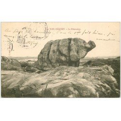 carte postale ancienne 50 ILES CHAUSEY. Le Rhinocéros 1904