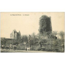 carte postale ancienne 50 LA HAYE-DU-PUITS. Le Donjon