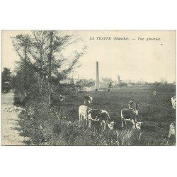 carte postale ancienne 50 LA TRAPPE. Vaches au Pré