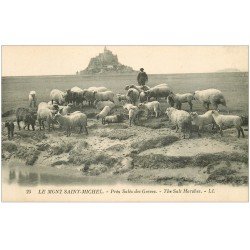 carte postale ancienne 50 LE MONT SAINT-MICHEL. Prés Salés des Grèves. Berger et Moutons 25