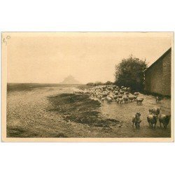 carte postale ancienne 50 LE MONT SAINT-MICHEL. Prés Salés des Grèves. Le Retour