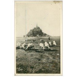 carte postale ancienne 50 LE MONT SAINT-MICHEL. Prés Salés des Grèves. Moutons 1947