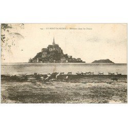 carte postale ancienne 50 LE MONT SAINT-MICHEL. Prés Salés des Grèves. Moutons dans les Dunes 1936