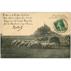 carte postale ancienne 50 LE MONT SAINT-MICHEL. Prés Salés des Grèves. Moutons et Vaches 1913. Botrel