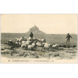 carte postale ancienne 50 LE MONT SAINT-MICHEL. Prés Salés des Grèves. Pâtres et Moutons 1947 LL 25