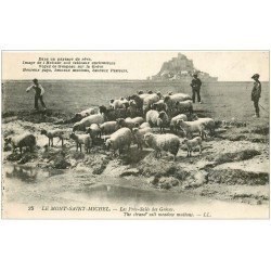 carte postale ancienne 50 LE MONT SAINT-MICHEL. Prés Salés des Grèves. Pâtres et Moutons 1947 LL 25 bis