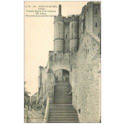 carte postale ancienne 50 MONT-SAINT-MICHEL. Abbaye Grands Degrés et Châtelet