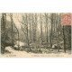carte postale ancienne 50 MORTAIN. Vallée Cance 1908