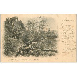 carte postale ancienne 50 MORTAIN. Vallée de la Cance 1906