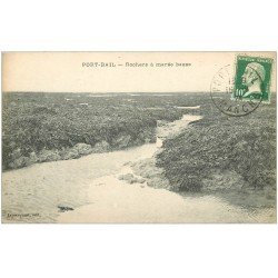 carte postale ancienne 50 PORT-BAIL. Rochers à marée basse 1924