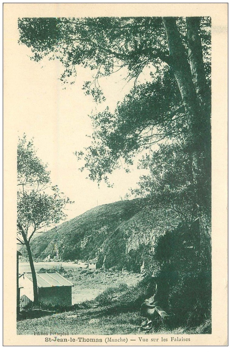 carte postale ancienne 50 SAINT-JEAN-LE-THOMAS. Les Falaises