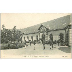 carte postale ancienne 50 SAINT-LO. Le Haras Militaire avec Chevaux Etalons 1917