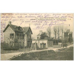 carte postale ancienne 50 SAINT-PAIR-SUR-MER. Chalets Rue Sainte-Anne 1908
