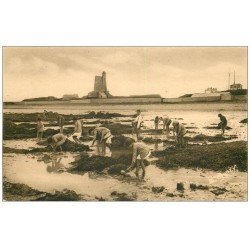 carte postale ancienne 50 SAINT-WAAST-LA-HOUGUE. Pêche aux Crustacés à Marée basse. Métiers de la Mer