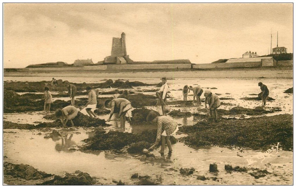 carte postale ancienne 50 SAINT-WAAST-LA-HOUGUE. Pêche aux Crustacés à Marée basse. Métiers de la Mer