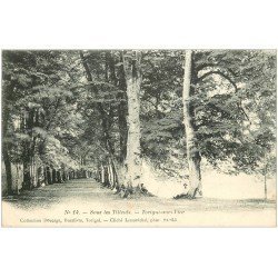 carte postale ancienne 50 TORIGNI-SUR-VIRE. Personnages sous les Tilleuls