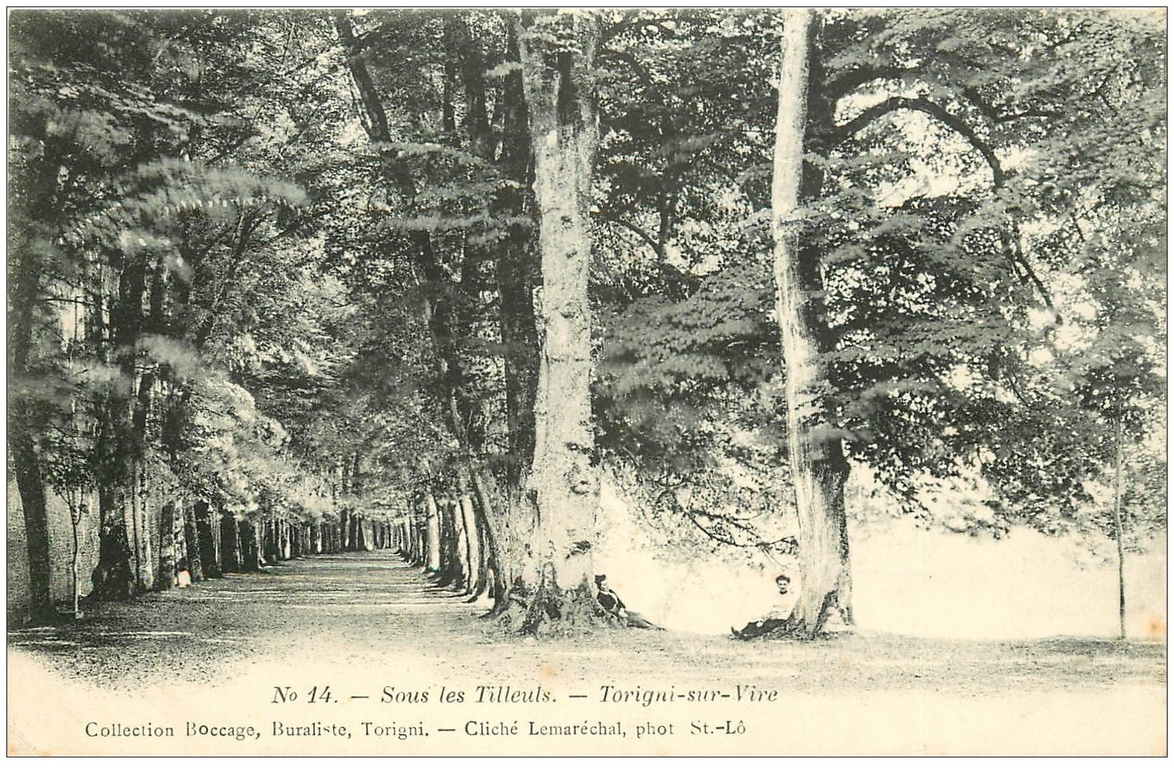 carte postale ancienne 50 TORIGNI-SUR-VIRE. Personnages sous les Tilleuls