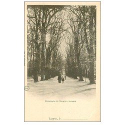 carte postale ancienne 52 LANGRES. Promenade de Blanche Fontaine vers 1900