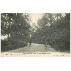 carte postale ancienne 55 LES ISLETTES. Côte de Biesme 1919 Attelage et Cycliste
