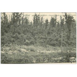 carte postale ancienne 55 VERDUN. Cimetière Tunnel de Tavanne. Guerre 1914-18