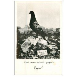 carte postale ancienne 55 VERDUN. Guerre 1914-18. Pigeon Voyageur par Raynal