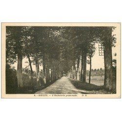 57 DIEUZE. L'Halbuterie promenade 1938