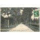 carte postale ancienne 58 BRINON-SUR-BEUVRON. Avenue de la Gare 1923