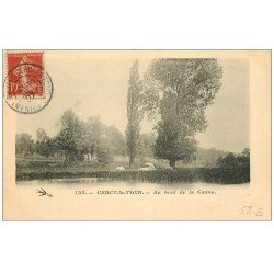 carte postale ancienne 58 CERCY-LA-TOUR. Vaches au bord de la Canne 1907