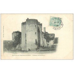 carte postale ancienne 58 CHATEAU DE CHANDIOUX 1906