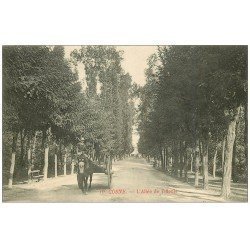carte postale ancienne 58 COSNE-SUR-LOIRE. Attelage Allée des Tilleuls 1913