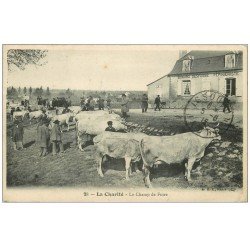 58 LA CHARITE. Boeufs au Champ de Foire 1915. Tampon Militaire