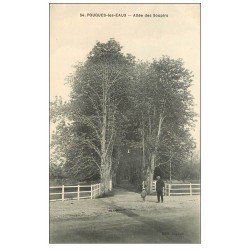 carte postale ancienne 58 POUGUES-LES-EAUX. Allée des Soupirs animée