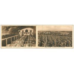 carte postale ancienne 58 POUILLY-SUR-LOIRE. Hôtel de l'Espérance. Vignes et Cave du Clos des Chaumiennes. Carte double