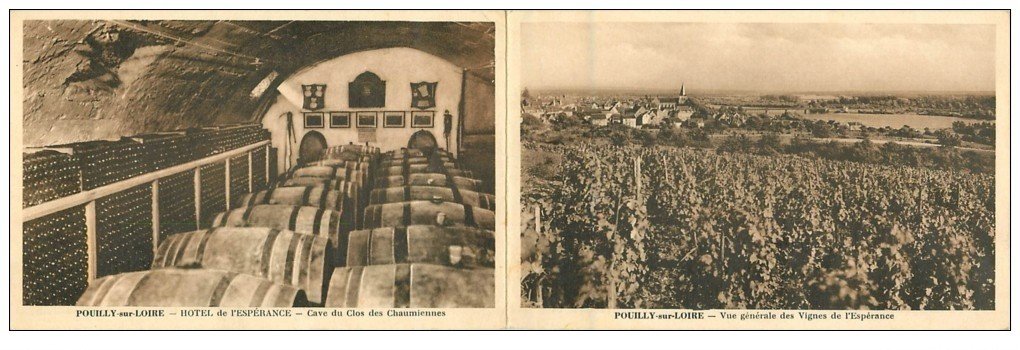carte postale ancienne 58 POUILLY-SUR-LOIRE. Hôtel de l'Espérance. Vignes et Cave du Clos des Chaumiennes. Carte double