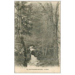 carte postale ancienne 58 SAINT-HONORE-LES-BAINS. Le Désert vers 1905