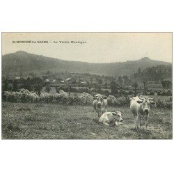 carte postale ancienne 58 SAINT-HONORE-LES-BAINS. Troupeau de Vaches sur la Vieille Montagne