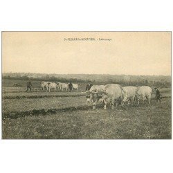 58 SAINT-PIERRE-LE-MOUTIER. Le Labourage avec Boeufs