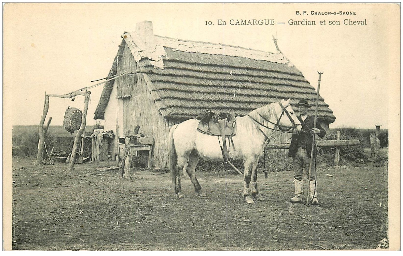 carte postale ancienne 13 En CAMARGUE. Gardian et son Cheval