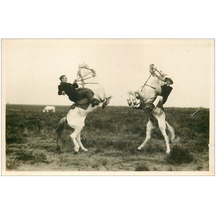 LOT 10 CPSM/CPM Camargue Manade Chevaux Taureaux Gardians EUR 2,00