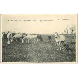 carte postale ancienne 13 En CAMARGUE. Mas de l'Amarée. Juments à l'entrave