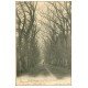 carte postale ancienne 60 MELLO. Avenue des Bergeries au Parc 1903 animation