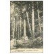 carte postale ancienne 60 PONT-SAINTE-MAXENCE. L'Obélisque Forêt d'Halatte 1912