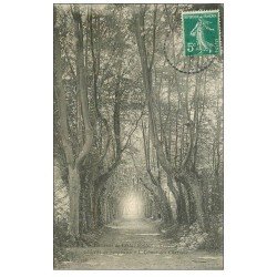 carte postale ancienne 60 SAINT-SAUVEUR. Avenue des Charmes Château Sonpiseau 1910
