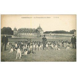 carte postale ancienne CHANTILLY 60. La Promenade de la Meute pour Chasse à Courre